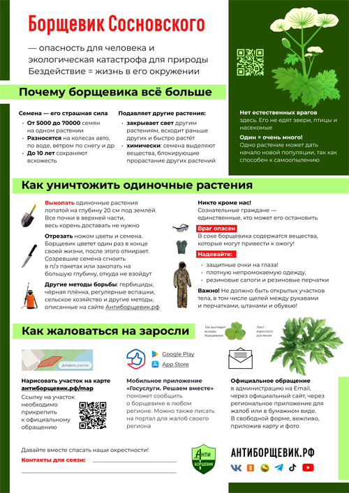 листовка антиборщевик про борщевик сосновского